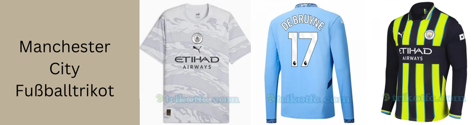 Premier Paint Protection, Coatings & Window Tint Shop in Roanoke, TX
                